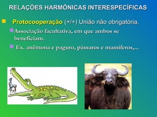 RELAÇÕES HARMÔNICAS INTERESPECÍFICAS

    Protocooperação (+/+) União não obrigatória.
     Associação facultativa, em que ambos se
      beneficiam.
     Ex. anêmona e paguro, pássaros e mamíferos,...
 