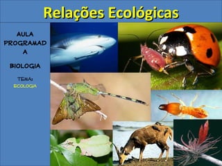 Aula
Programad
a
Biologia
Tema:
Ecologia
Relações EcológicasRelações Ecológicas
 