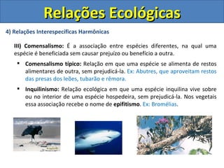 Relações Ecológicas
4) Relações Interespecíficas Harmônicas

   III) Comensalismo: É a associação entre espécies diferentes, na qual uma
   espécie é beneficiada sem causar prejuízo ou benefício a outra.
     Comensalismo típico: Relação em que uma espécie se alimenta de restos
      alimentares de outra, sem prejudicá-la. Ex: Abutres, que aproveitam restos
      das presas dos leões, tubarão e rêmora.
     Inquilinismo: Relação ecológica em que uma espécie inquilina vive sobre
      ou no interior de uma espécie hospedeira, sem prejudicá-la. Nos vegetais
      essa associação recebe o nome de epifitismo. Ex: Bromélias.
 