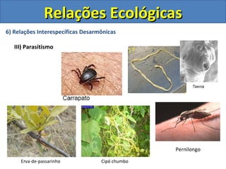 Relações Ecológicas
6) Relações Interespecíficas Desarmônicas

   III) Parasitismo




                                                 Pernilongo

     Erva-de-passarinho            Cipó chumbo
 