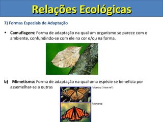 Relações Ecológicas
7) Formas Especiais de Adaptação

• Camuflagem: Forma de adaptação na qual um organismo se parece com o
  ambiente, confundindo-se com ele na cor e/ou na forma.




b) Mimetismo: Forma de adaptação na qual uma espécie se beneficia por
   assemelhar-se a outras
 
