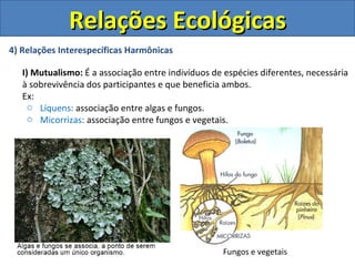 Relações Ecológicas
4) Relações Interespecíficas Harmônicas

   I) Mutualismo: É a associação entre indivíduos de espécies diferentes, necessária
   à sobrevivência dos participantes e que beneficia ambos.
   Ex:
     o Líquens: associação entre algas e fungos.
     o Micorrizas: associação entre fungos e vegetais.




                                                    Fungos e vegetais
 