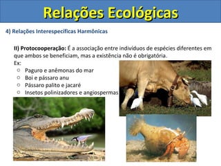 Relações Ecológicas
4) Relações Interespecíficas Harmônicas

   II) Protocooperação: É a associação entre indivíduos de espécies diferentes em
   que ambos se beneficiam, mas a existência não é obrigatória.
   Ex:
     o Paguro e anêmonas do mar
     o Boi e pássaro anu
     o Pássaro palito e jacaré
     o Insetos polinizadores e angiospermas
 