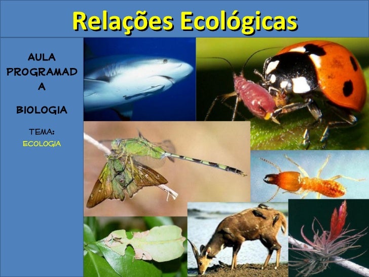 Relações Ecológicas   AulaProgramad    a Biologia   Tema:  Ecologia 