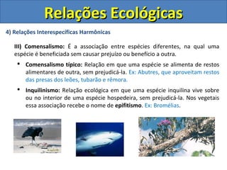 4) Relações Interespecíficas Harmônicas
III) Comensalismo: É a associação entre espécies diferentes, na qual uma
espécie é beneficiada sem causar prejuízo ou benefício a outra.
 Comensalismo típico: Relação em que uma espécie se alimenta de restos
alimentares de outra, sem prejudicá-la. Ex: Abutres, que aproveitam restos
das presas dos leões, tubarão e rêmora.
 Inquilinismo: Relação ecológica em que uma espécie inquilina vive sobre
ou no interior de uma espécie hospedeira, sem prejudicá-la. Nos vegetais
essa associação recebe o nome de epifitismo. Ex: Bromélias.
Relações EcológicasRelações Ecológicas
 