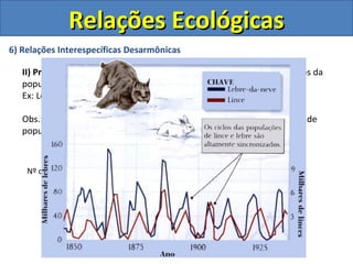 6) Relações Interespecíficas Desarmônicas
II) Predatismo: Ocorre quando organismo predadores matam indivíduos da
população de presas para deles se alimentarem.
Ex: Leões e girafas.
Obs.: A relação presa-predador pode ser um fator regulador da densidade
populacional de ambos.
Presa
Predador
Nº de indivíduos
Tempo
Relações EcológicasRelações Ecológicas
 