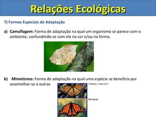 7) Formas Especiais de Adaptação
a) Camuflagem: Forma de adaptação na qual um organismo se parece com o
ambiente, confundindo-se com ele na cor e/ou na forma.
b) Mimetismo: Forma de adaptação na qual uma espécie se beneficia por
assemelhar-se a outras
Relações EcológicasRelações Ecológicas
 