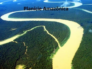 Planície Amazônica
 