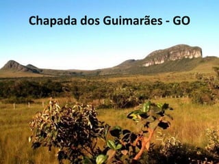 Chapada dos Guimarães - GO
 