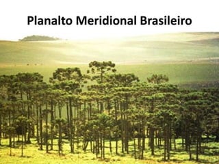 Planalto Meridional Brasileiro
 