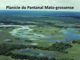Planície do Pantanal Mato-grossense
 