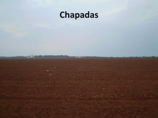 Chapadas
 