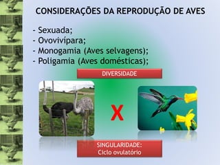 Aula reprodução de aves | PPTX