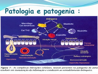 Patologia e patogenia :
 