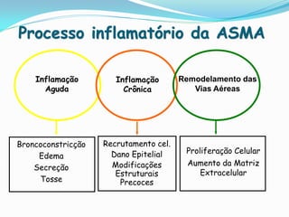 Processo inflamatório da ASMA

    Inflamação         Inflamação       Remodelamento das
      Aguda              Crônica           Vias Aéreas




Broncoconstricção   Recrutamento cel.
                      Dano Epitelial     Proliferação Celular
     Edema
                      Modificações       Aumento da Matriz
    Secreção
                       Estruturais         Extracelular
     Tosse              Precoces
 