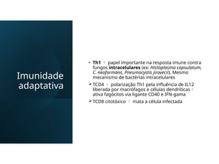 Imunidade
adaptativa
• Th1  papel importante na resposta imune contra
fungos intracelulares (ex: Histoplasma capsulatum,
C. neoformans, Pneumocystis jirovecii). Mesmo
mecanismo de bactérias intracelulares
TCD4  polarização Th1 pela influência de IL12
liberada por macrófagos e células dendríticas
ativa fagócitos via ligante CD40 e IFN-gama
TCD8 citotóxico  mata a célula infectada
 