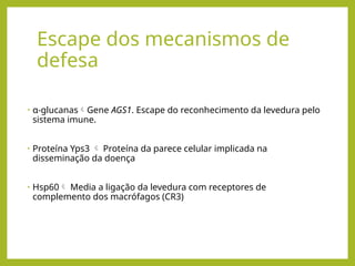 Escape dos mecanismos de
defesa
• α-glucanasGene AGS1. Escape do reconhecimento da levedura pelo
sistema imune.
• Proteína Yps3  Proteína da parece celular implicada na
disseminação da doença
• Hsp60 Media a ligação da levedura com receptores de
complemento dos macrófagos (CR3)
 