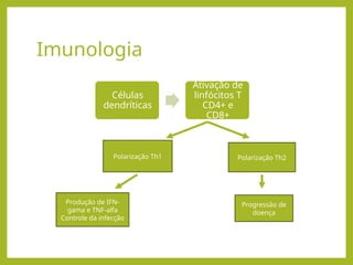 Imunologia
Células
dendríticas
Ativação de
linfócitos T
CD4+ e
CD8+
Polarização Th1 Polarização Th2
Produção de IFN-
gama e TNF-alfa
Controle da infecção
Progressão de
doença
 