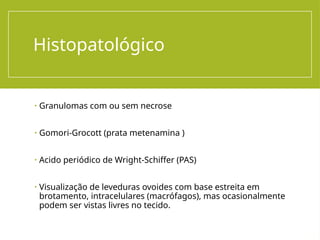 Histopatológico
• Granulomas com ou sem necrose
• Gomori-Grocott (prata metenamina )
• Acido periódico de Wright-Schiffer (PAS)
• Visualização de leveduras ovoides com base estreita em
brotamento, intracelulares (macrófagos), mas ocasionalmente
podem ser vistas livres no tecido.
 