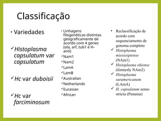 Classificação
• Variedades
Histoplasma
capsulatum var
capsulatum
Hc var duboisii
Hc var
farciminosum
• Linhagens
filogenéticas distintas
geograficamente de
acordo com 4 genes
(ola, arf, tub1 e H-
anti)
Nam1
Nam2
LamA
LamB
Australian
Netherlands
Eurasian
African
• Reclassificação de
acordo com
sequenciamento de
genoma completo
 Histoplasma
mississipiense
(NAm1)
 Histoplasma ohiense
(formerly NAm2)
 Histoplasma
suramericanum
(LAmA)
 H. capsulatum senso
strictu (Panama)
 