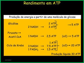 Rendimento em ATP
23/7/2013
Produção líquida 30 ATP
2 NADH
1,5 ATP
7,5 ATPCiclo de Krebs
1 FADH2
1 ATP
3 NADH (x2) 20 ATP
Glicólise 2 ATP 5 ATP
2 NADH 3 ATP
Acetil CoA
Piruvato
2,5 ATP1 NADH (x2) 5 ATP
Produção de energia a partir de uma molécula de glicose
 