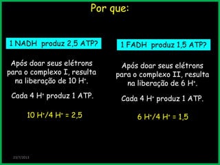 Por que:
23/7/2013
1 NADH produz 2,5 ATP?
Após doar seus elétrons
para o complexo I, resulta
na liberação de 10 H+.
Cada 4 H+ produz 1 ATP.
10 H+/4 H+ = 2,5
1 FADH produz 1,5 ATP?
Após doar seus elétrons
para o complexo II, resulta
na liberação de 6 H+.
Cada 4 H+ produz 1 ATP.
6 H+/4 H+ = 1,5
 