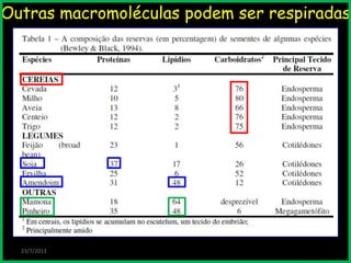 Outras macromoléculas podem ser respiradas
23/7/2013
 