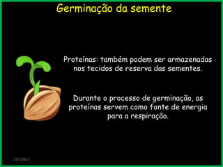 Germinação da semente
Proteínas: também podem ser armazenadas
nos tecidos de reserva das sementes.
23/7/2013
Durante o processo de germinação, as
proteínas servem como fonte de energia
para a respiração.
 