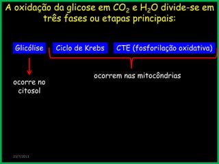 A oxidação da glicose em CO2 e H2O divide-se em
três fases ou etapas principais:
Glicólise
23/7/2013
CTE (fosforilação oxidativa)Ciclo de Krebs
ocorre no
citosol
ocorrem nas mitocôndrias
 