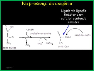 Na presença de oxigênio
23/7/2013
Ligado via ligação
tioéster a um
cofator contendo
enxofre
 