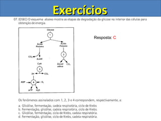 Exercícios Resposta:  C 