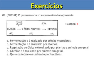 Exercícios Resposta:  b 
