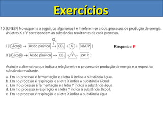 Exercícios Resposta:  E 