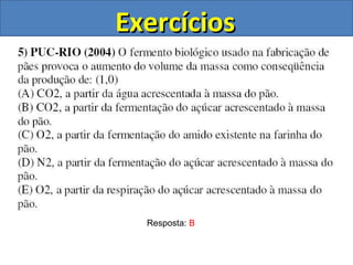 Exercícios Resposta:  B 
