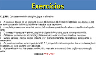 Exercícios Resposta:  VFFVVVF II I 