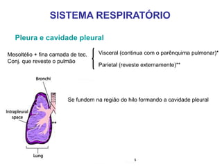 Pleura e cavidade pleural
Mesoltélio + fina camada de tec.
Conj. que reveste o pulmão
Visceral (continua com o parênquima pulmonar)*
Parietal (reveste externamente)**
SISTEMA RESPIRATÓRIO
Se fundem na região do hilo formando a cavidade pleural
*
**
 
