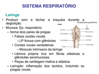 SISTEMA RESPIRATÓRIO
Laringe
• Produzir som e fechar a traquéia durante a
deglutição.
• Mucosa: Ep. respiratório
– forma dois pares de pregas
• Falsas cordas vocais
– LP frouxa com glândulas
• Cordas vocais verdadeiras
– Músculo intrínseco da laringe
• Lâmina própria rica em fibras elásticas e
glândulas seromucosas.
• Peças de cartilagem hialina e elástica
– Laringite: inflamação dos tecidos, incluindo as
pregas vocais
Corpúsculos gustativos
 