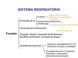 SISTEMA RESPIRATÓRIO
Funções
Condução do ar
Trocas gasosas (hematose)
Fonação, olfação, regulação de temperatura
Equilíbrio ácido/base, excreção de drogas
Substâncias químicas
Histamina, prostaglandinas E e F,
Calicreína (vai para a circulação)
Prostaglandinas E e F, serotonina
bradicinina, norepinefina
(removidas da circulação)
Limpeza
Aquecimento/resfriamento
Umidificação
Pelos, cílios e células
caliciformes, macrófagos
alveolares
Glândulas, céls. caliciformes
Vasos sanguíneos.
 