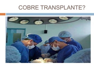 COBRE TRANSPLANTE?
 
