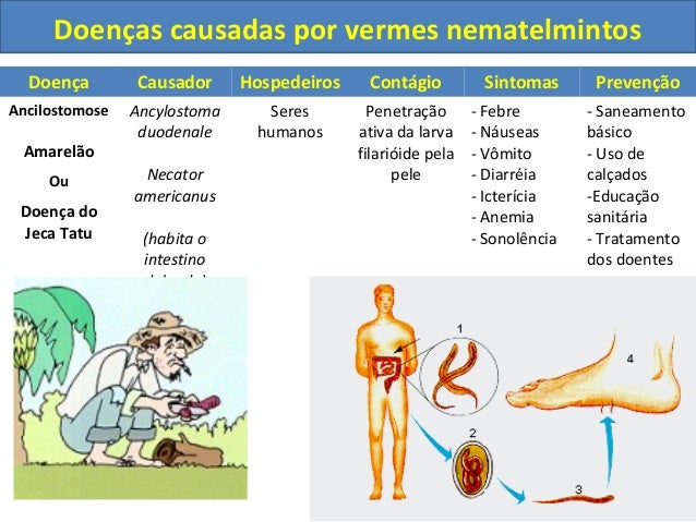 O dispositivo de clarificação de um organismo de parasitas