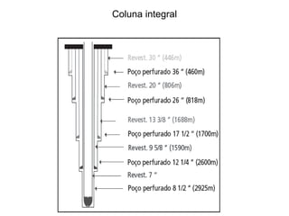 Coluna integral
 