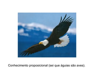 Conhecimento proposicional (sei que águias são aves).
