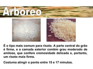 É o tipo mais comum para risoto. A parte central do grão é firme, e a camada exterior contém grau moderado de amilose, que confere cremosidade delicada e, portanto, um risoto mais firme.  Costuma atingir o ponto entre 15 e 17 minutos.   Arbóreo 