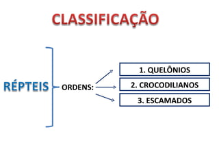 1. QUELÔNIOS 2. CROCODILIANOS 3. ESCAMADOS ORDENS: 