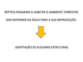 RÉPTEIS PASSARAM A HABITAR O AMBIENTE TERRESTRE SEM DEPENDER DA ÁGUA PARA A SUA REPRODUÇÃO. ADAPTAÇÃO DE ALGUMAS ESTRUTURAS 