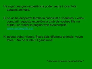 Ha sigut una gran experiència poder veure i tocar tots 
aquests animals. 
Si se us ha despertat també la curiositat a vosaltres, i voleu 
compartir aquesta experiència amb els vostres fills no 
dubteu en visitar la pàgina web d'Aulareptils: 
www.aulareptils.cat 
Hi podeu trobar videos, fitxes dels diferents animals, veure 
fotos... No ho dubteu! I gaudiu-ne! 
* Alumnes i mestres de cicle Inicial * 
