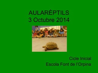 AULARÈPTILS 
3 Octubre 2014 
Cicle Inicial 
Escola Font de l’Orpina 
 
