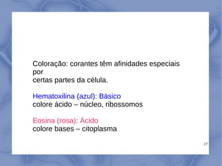 17
Coloração: corantes têm afinidades especiais
por
certas partes da célula.
Hematoxilina (azul): Básico
colore ácido – núcleo, ribossomos
Eosina (rosa): Ácido
colore bases – citoplasma
 