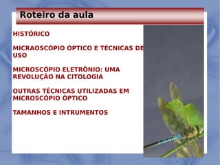 Linha 1
Linha 2
Linha 3
Linha 4
0
2
4
6
8
10
12
Coluna 1
Coluna 2
Coluna 3
Roteiro da aula
HISTÓRICO
MICRAOSCÓPIO ÓPTICO E TÉCNICAS DE
USO
MICROSCÓPIO ELETRÔNIO: UMA
REVOLUÇÃO NA CITOLOGIA
OUTRAS TÉCNICAS UTILIZADAS EM
MICROSCÓPIO ÓPTICO
TAMANHOS E INTRUMENTOS
 