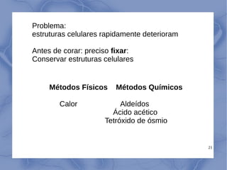 21
Problema:
estruturas celulares rapidamente deterioram
Antes de corar: preciso fixar:
Conservar estruturas celulares
Métodos Físicos Métodos Químicos
Calor Aldeídos
Ácido acético
Tetróxido de ósmio
 